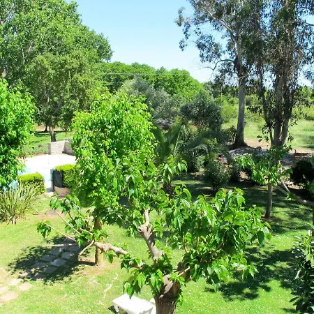 Valledoro - Mni142 By Interhome Apartment